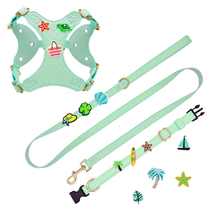 カスタムデザイナー人気でエレガントなソフトレザー犬のハーネスとリーシュセットPVCかわいいステッカーバッジペットアクセサリー卸売 - Product Image 3