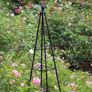 Treillis pour plantes à quatre côtés en acier galvanisé, revêtement PE, support de jardin en fer noir pour plantes grimpantes - Product Image 6