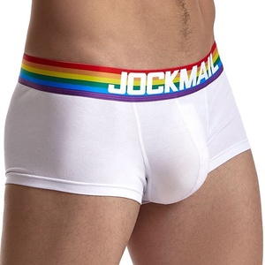 Ropa interior de hombre de arcoíris con logotipo tejido personalizado de fábrica, calzoncillos cortos clásicos cómodos de algodón puro, ropa interior para hombre - Product Image 4