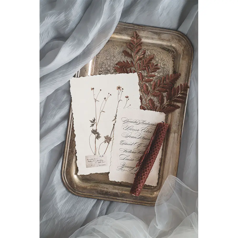 고대 편지 식물 표본 엽서 빈티지 복고풍 스타일 크리 에이 티브 쓰기 인사말 선물 엽서