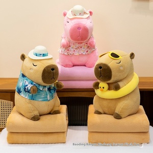 Giocattoli di peluche di alta qualità con coperta capibara animali di peluche giocattoli con coperte all'interno - Product Image 4