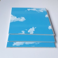 Panneau PVC rigide rectangulaire bleu ciel à installation facile pour décoration murale et de plafond intérieure