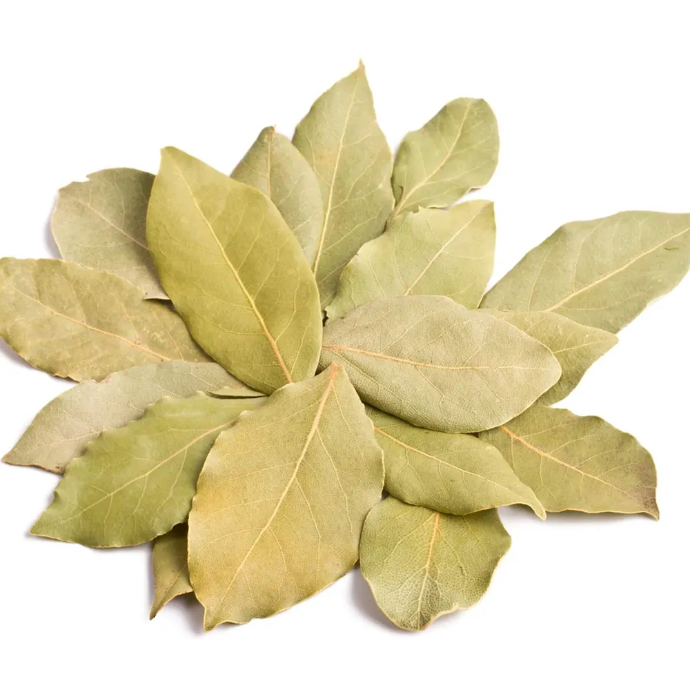 Wholesale Bayleaf Single Herbs and Spices Dried Bay leaves