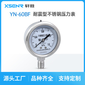 Manomètre en acier inoxydable Suzhou XuanSheng 60 mm analogique 0-1,6 MPa connexion filetée YN60BF - Product Image 5