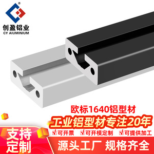 European Standard 1640 Aluminum Profile 6063 Alloy Silver Black Industrial Automation Guide Rail - Product Image 4