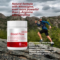 Complément alimentaire nutritionnel personnalisé en gros pour la circulation sanguine et la vitalité corporelle – 60 capsules