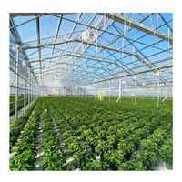 HUIFA Serre commerciale Fabricant Serre Fleurs Plantation Solution Serre en verre Prix pour l'agriculture