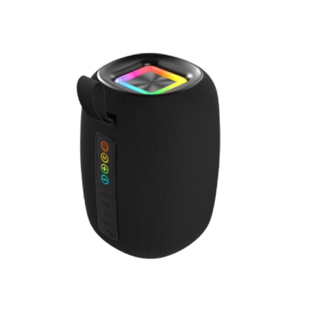 Portable Bluetooth Speaker Removable Battery 10W Wireless V5.3 Stereo Soundbox Outdoor Subwoofer with AUX TF USB Music Player