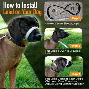 Collar de Cabeza para Perro con Diseñ<span class=keywords><strong>o</strong></span> de Figura 8, Reflectante, Acolchado Suave, Transpirable, Ajustable, Antitirones, para Entrenamiento y Control de Tirones - Product Image 4