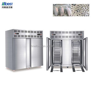 Congelador Comercial de Dos Puertas con Carro de Transporte, Enfriamiento por Aire, Acero Inoxidable, 30 Bandejas para Maquinaria de Alimentos y Bebidas - Product Image 1