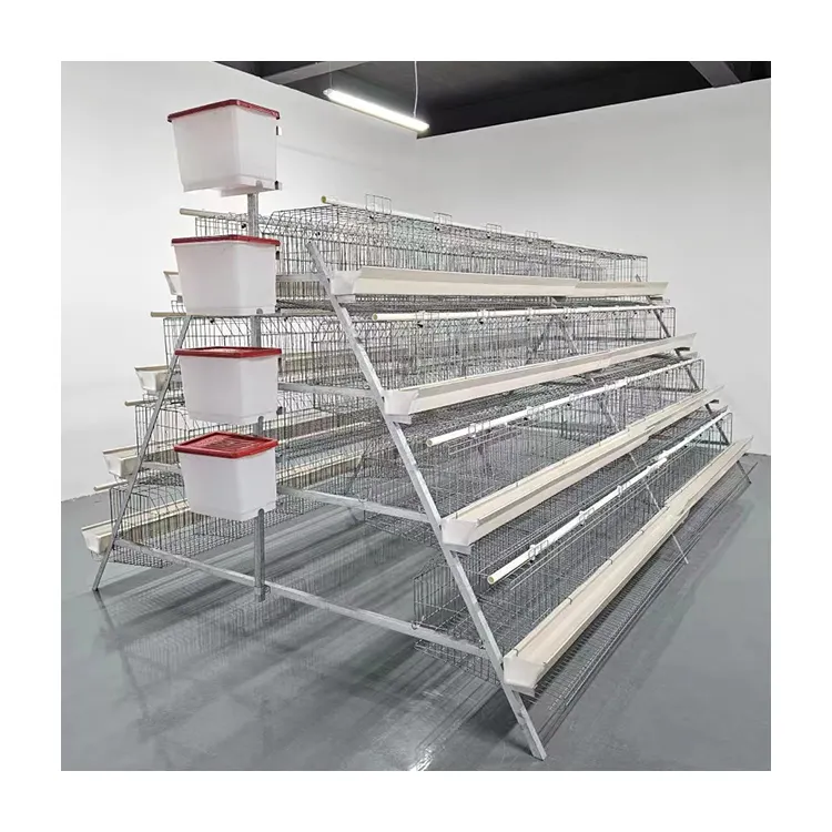 O fabricante vende gaiolas tipo A para frangos de corte que podem acomodar 300 sistemas de criação automatizados