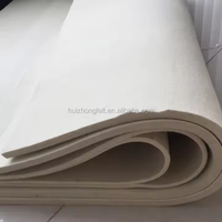 Vente chaude 100% Polyester Nomex Tissu Respirant Repassage Ceintures Tissé Non Tissé Techniques Fabriqué En Chine Ceintures De Machine Industrielle