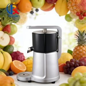 Centrifuga ad Alta Potenza 300W: Processa Frutta e Verdura, Adatta per Case e Piccole Imprese - Product Image 5