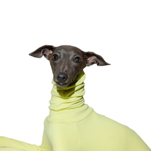 Ropa de invierno para mascotas algodón <span class=keywords><strong>galgo</strong></span> italiano Whippet base cálida ropa de cuatro patas suéter para perros - Product Image 2