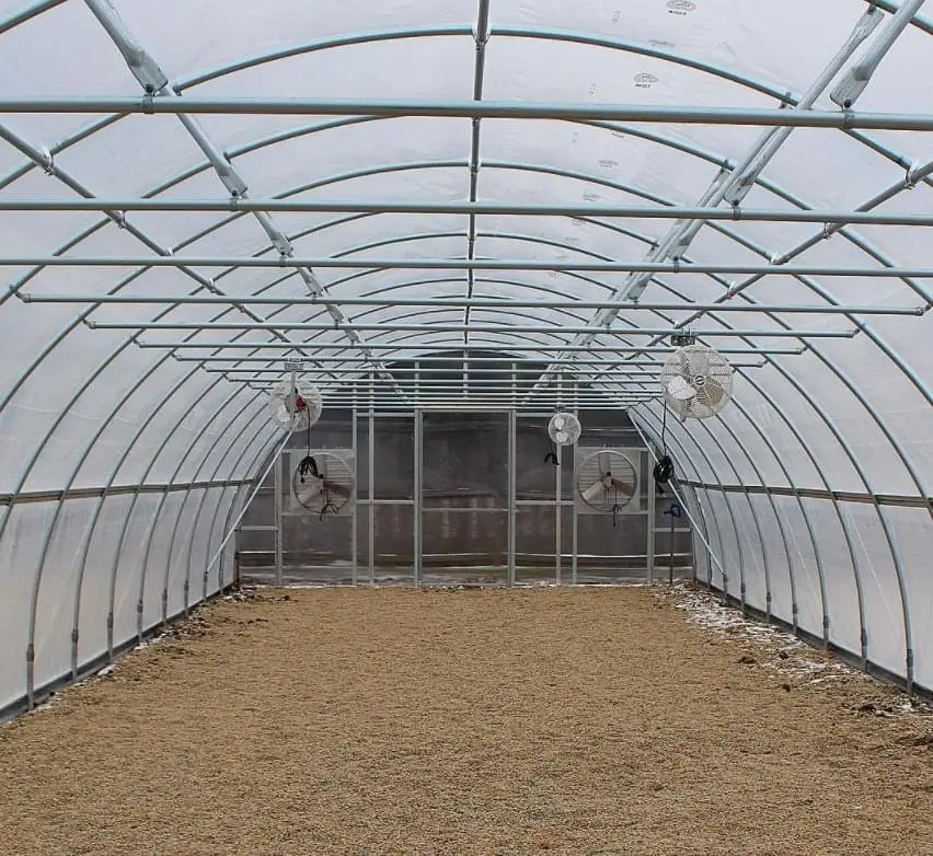 Serra galvanizzata del tunnel del film plastico della struttura della serra della immersione calda di facile installazione per la coltivazione della fragola