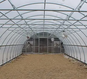 Простая установка, оцинкованная теплица, пластиковая пленка, туннельная теплица для выращивания клубники