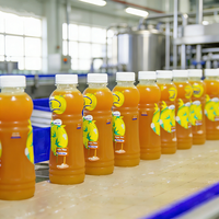 Machine de remplissage automatique de jus en bouteilles de petite taille, économique, 5000 BPH, pour ligne de production de jus de mangue et d'orange
