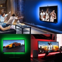 Tira de luces LED resistente al agua con batería AA, decoración Flexible de 5V, 5050, RGB, Fondo de TV, a rayas, luz de fondo con Accent, mando a distancia IR