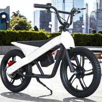 Nouveau modèle 2026 Vélo électrique 48V pour enfants, pneu 16 pouces, vélo électrique urbain à assistance électrique, étanche IP54, 3 vitesses, autonomie 25 km, fabriqué en Chine