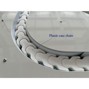 Hoge Kwaliteit Plastic Behuizing Kettingtransporteur Voor Auto-Onderdelenindustrie - Product Image 2