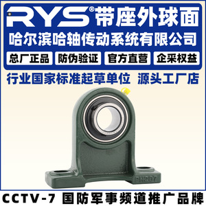 Rodamiento de Rodillos Esféricos RYS UCPH 204 205 206 207 208 209 P5 de Precisión, 20 mm de Diámetro Interior, 90 mm de Diámetro Exterior - Product Image 4
