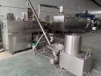 Machine de fabrication de céréales de petit-déjeuner personnalisées, flocons de maïs, céréales de petit-déjeuner instantanées, flocons d'avoine, granola, ligne de production
