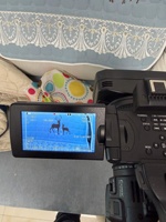 Caméra de Conférence Full HD Haute Performance Sony PXW-X280