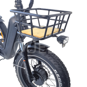 QUEENE Nouveau Tricycle <span class=keywords><strong>Électrique</strong></span> Pliant à 3 Roues <span class=keywords><strong>avec</strong></span> Pneus Larges et Moteur Sans Balais pour le Transport de Marchandises - Product Image 6