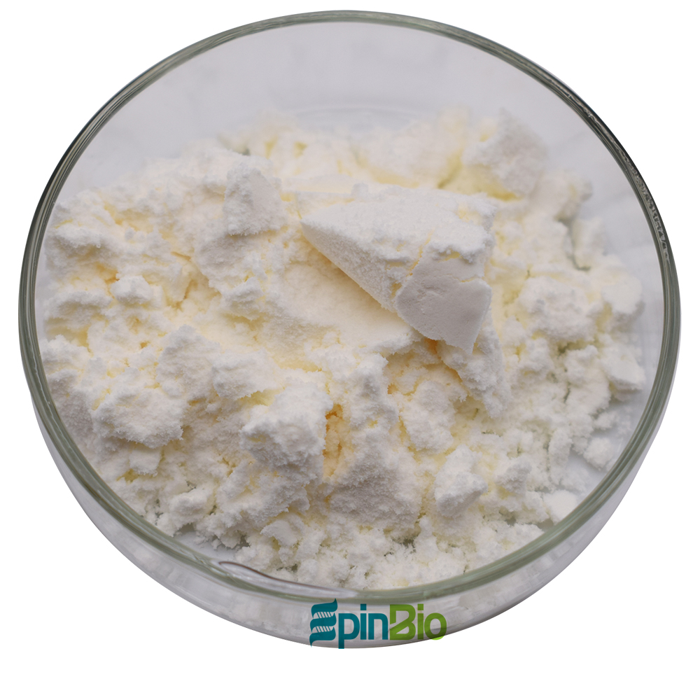 High purity natural preservative polylysine 98% epsilon-polylysine