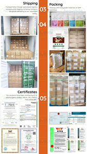 Extracto de Hongo Chaga (Fuscoporia Obliqua/Inonotus Obliquus) en Polvo, 40% Beta Glucano - Product Image 6