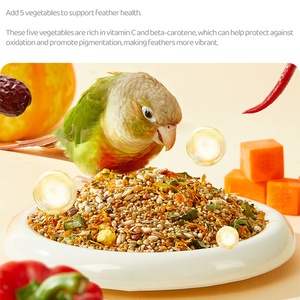 Yee <span class=keywords><strong>abeja</strong></span> polen loro hermosa pluma comida especial piel de tigre pequeño Sunbird comida nutritiva píldora alimentación pájaro comida - Product Image 5