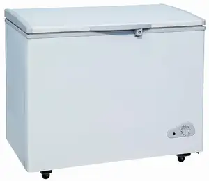 218l Commercial Deep Freezer Refrigerator Display Chest Freezer Ultra Low Freezer From China