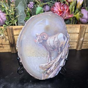 Offre Spéciale : Tranches de Cristaux Naturels Mélangés (Quartz, Astrophyllite, <span class=keywords><strong>Labradorite</strong></span>, Ammonite, Agate) pour la Guérison Spirituelle et la Décoration - Product Image 5