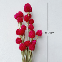 Penjualan Panas Bunga Kering Gomphrena Globosa Buatan Tangan untuk Natal, Pernikahan & Hari Valentine Ramah Lingkungan Tahan Lama