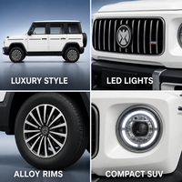 Fabricant chinois de mini-jeep électrique 4x4, petite voiture de tourisme écologique à émissions zéro pour les trajets de courte distance