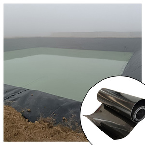 Bãi Rác Chống-Rò Rỉ Cá Trang Trại Rõ Ràng Ao Đất Sét Lót Màu Đen Nhựa HDPE Màng Đất Tấm Azolla Ao Lót - Product Image 2