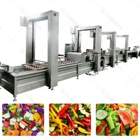 Lonkia Commerciële Industriële Bubble Fruit Avocado Mango Groente Aardappel Wasmachine/Bevroren Groente Productielijn