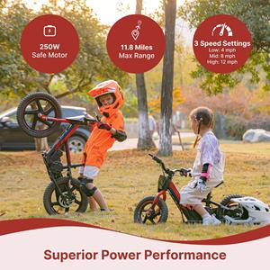 Nouveau design de motos électriques pour enfants tout-terrain électrique Dirt Bike Apollo <span class=keywords><strong>Sedna</strong></span> 16 - Product Image 6