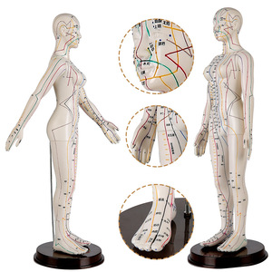 Maniquí <span class=keywords><strong>de</strong></span> Acupuntura - Modelo Humano <span class=keywords><strong>de</strong></span> Acupuntura <span class=keywords><strong>de</strong></span> 12 Canales con Meridianos Extraíbles para Práctica - Product Image 2