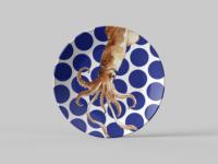 Assiette en mélamine légère à motif rayé de crabe ermite nautique côtier pour la restauration hôtelière, les pique-niques en plein air et l'usage quotidien en cuisine
