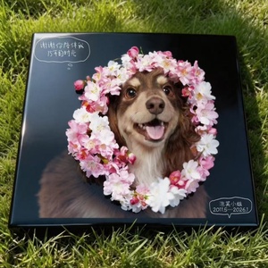 Lapide in Granito Naturale per Cani e Gatti, Design Moderno Personalizzato, Scultura Commemorativa in Pietra - Product Image 2