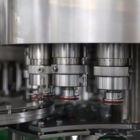SKYONE rouleau Film tasse remplissage scellage Machine automatique linéaire en plastique fabrication bulle lait thé Machine automatique jus Automat