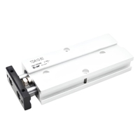 Cylindres pneumatiques à double tige en aluminium série TN - Différentes tailles
