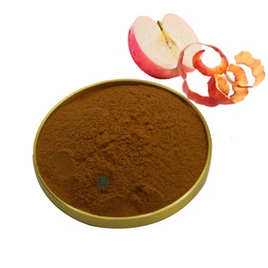 Polyphénol de pomme de haute qualité 10%~80% Vente en gros d'extrait de peau de pomme Poudre de polyphénols de pomme - Product Image 2