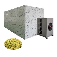 Professionele uien-droger, kokosvlees warmtepompdroger, machine voor het drogen van voedsel, groenten en fruit, appel, druif, rozijn droogapparatuur