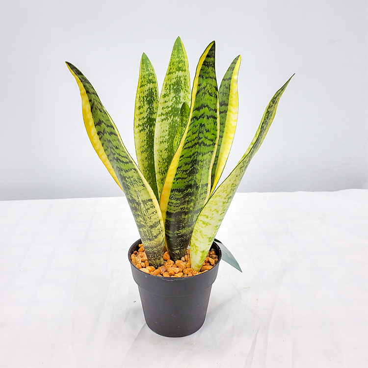 プラスチック人工盆栽ヘビ植物/sansevieria/リュウゼツラン人工装飾植物屋内装飾用人工植物