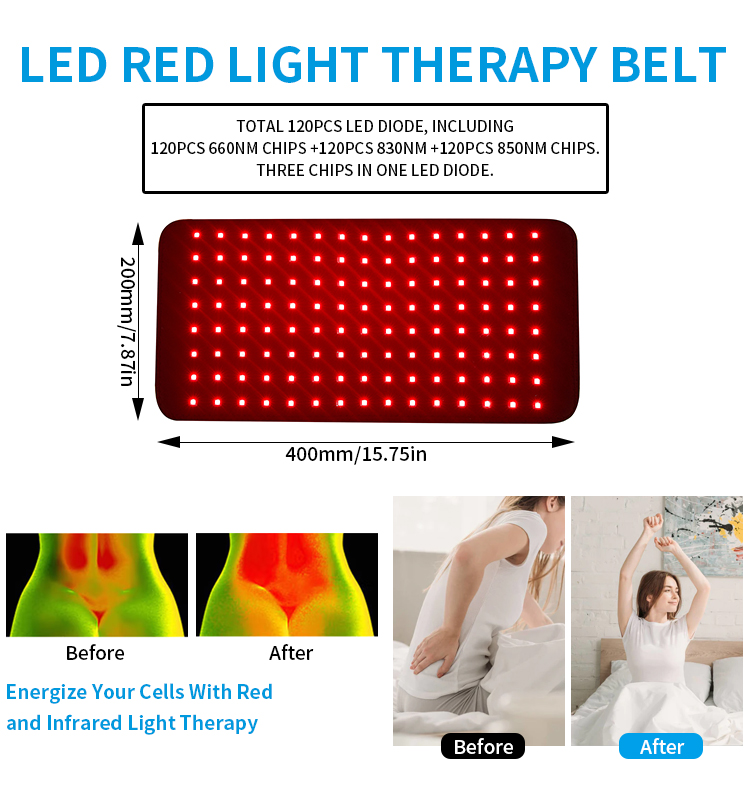 【いちご】LED 赤外線ベルト Amazon.co.jp: ペット赤外線ベルト 犬 猫 赤色光ベルト ペット