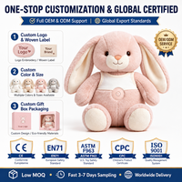 Jouet en peluche interactif intelligent en forme de lapin chantant, doux pour la peau, pour bébés et tout-petits, décoration personnalisable, couleur sur mesure – Grande Vente