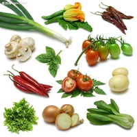 Máquina de embalaje de verduras frescas, producto de flujo automático, horizontal, pescado, seta, inoki, nuevo estilo