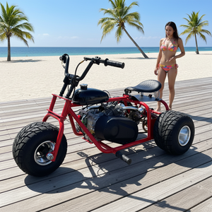 Go Kart Todoterreno de 3 Ruedas, Motor de Gasolina de 4 Tiempos, Chasis Metálico, Transmisión por Cadena, 212cc, Trike Buggy Kart, <span class=keywords><strong>Alquiler</strong></span> para Entretenimiento en Playa y Granja - Product Image 1